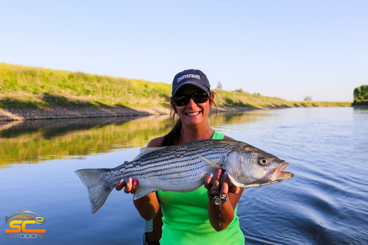 Striped Bass Fishing